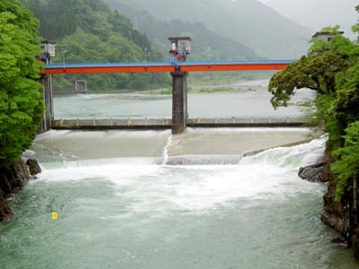 ���{����S�i