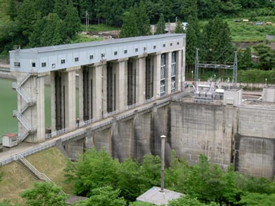 �E�݉����������̂�]��