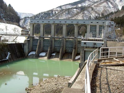 �Ԕ��_���S�i