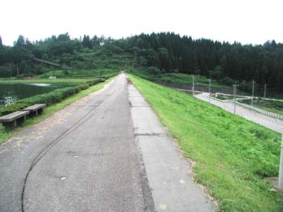 �ԑc���r�_���V�[