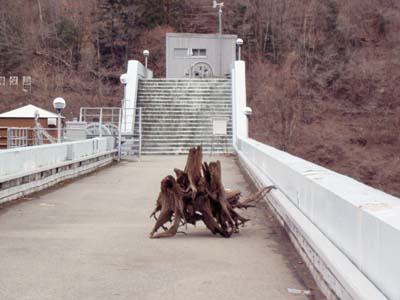 �V�[�ɉ����ςȂ��̂�