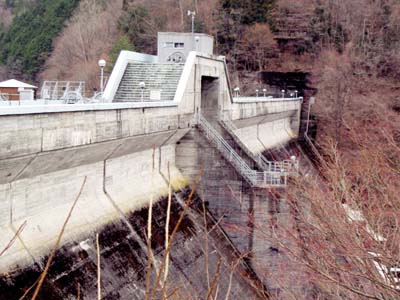 �E�݉��������猩�����