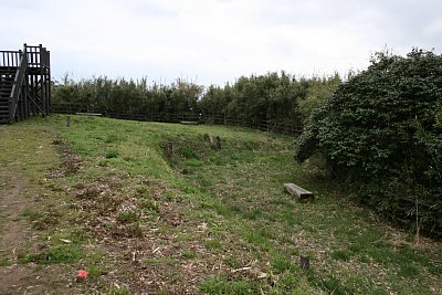 本丸跡の削平は極めて不十分です