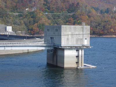 �����H�Ɠ�����