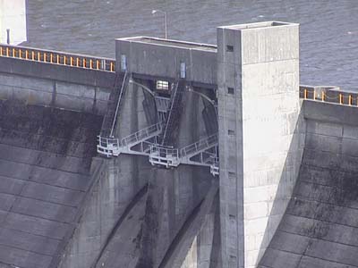 ���W�A���Q�[�g�Q��Ƃ͏����₵���ł���