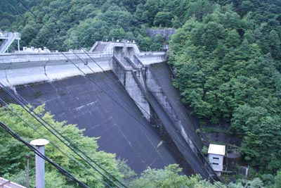 �����_���S�i