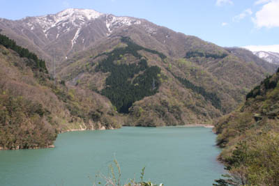 �_���΂́A�����Џ����