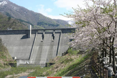 ���������̂�����