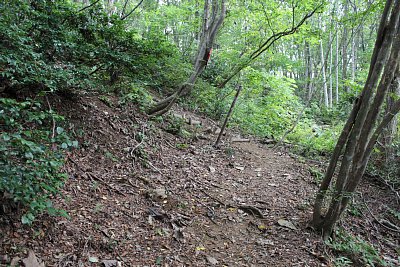 二の丸から三の丸へは尾根に登ります