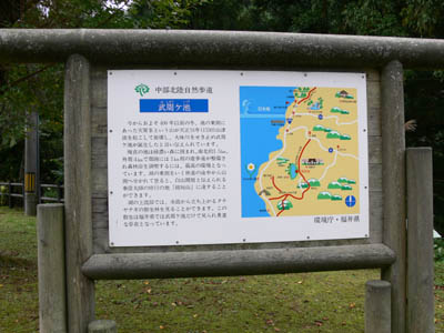 �������r�̈ē���