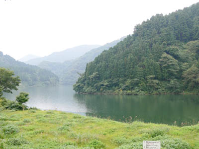 �������r