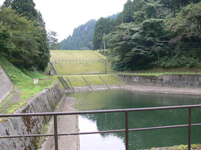 ��̂��������猩��