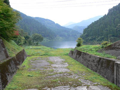 �^���f������_���΂�������