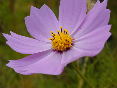 �R�X���X�E�H�b�`���O�@�@2003�N10��11��