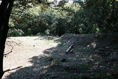 本丸下の曲輪の周囲にも土塁があります