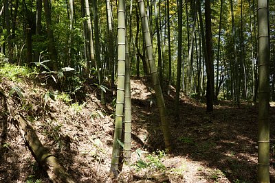 外側の郭と主要な郭群の間は切岸となっています