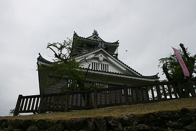 西側から天守を見上げる