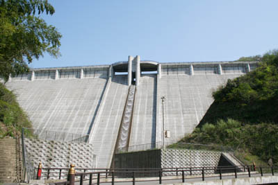 �i�����_���S�i