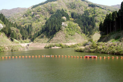 �_���΂͑�Ō΂ƌĂ΂�Ă��܂�