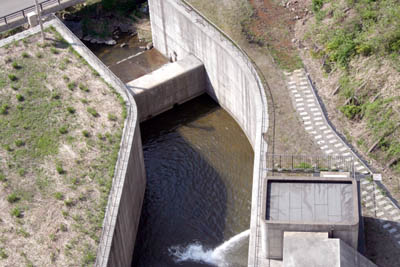 �����ǂ���͐�ێ��p������������Ă��܂�