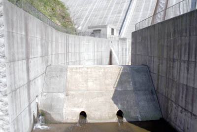 �����H�ƕ��_��