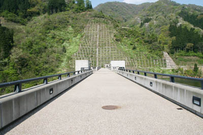 �V�[�͕��s�҂̂ݒʂ�܂�