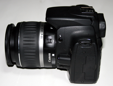 �{�f�B����