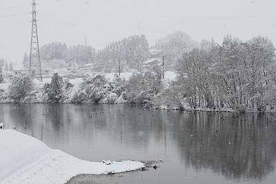 冬の増山湖