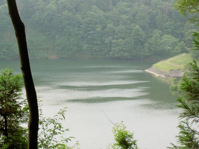 �����r���]