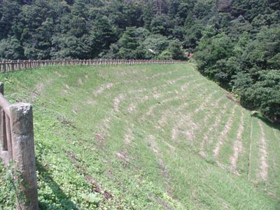 �����r���