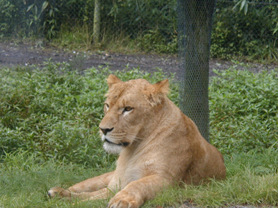 �x�m�T�t�@���p�[�N�@�@2003�N8��25��