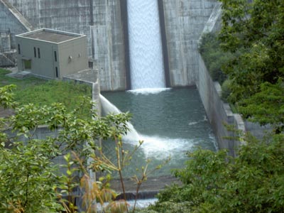 �������猩�������H