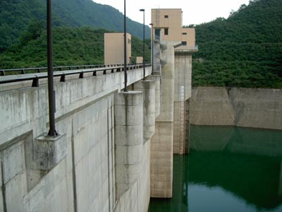 �E�݉��������猩�����