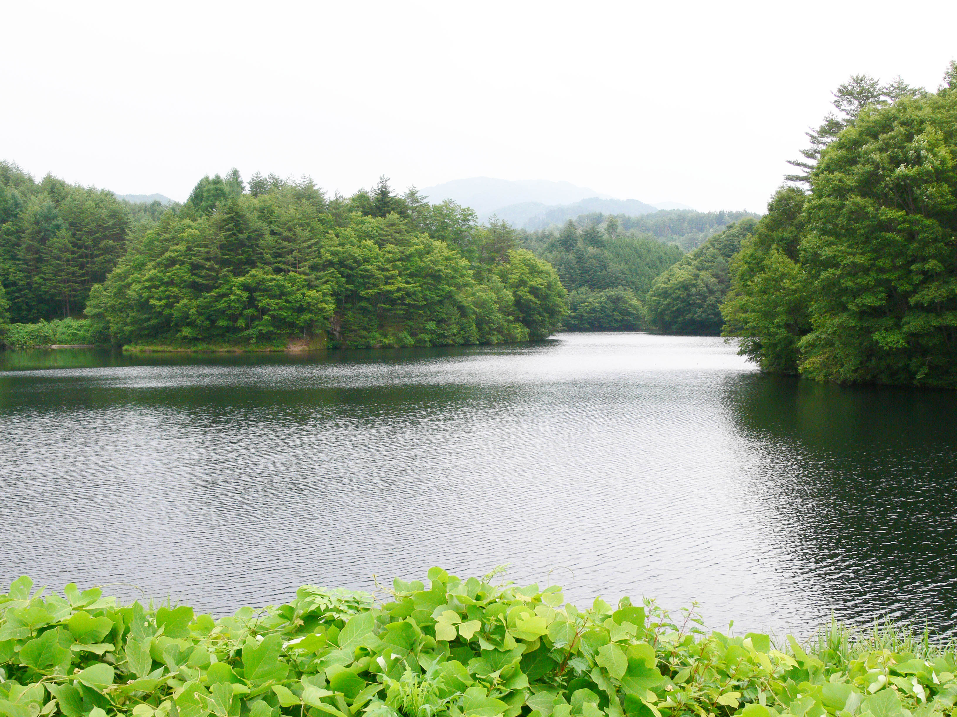 岐阜県のダム 深谷ダム