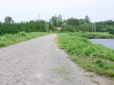 �V�[�͎����Ԃ��ʂ�܂�