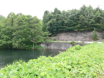 �V�[����^���f������