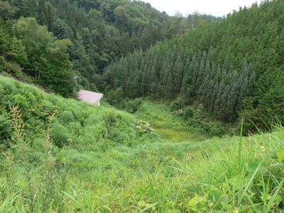 �V�[����_���������������낷