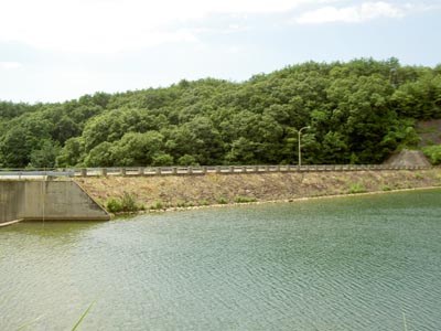 �����_���S�i