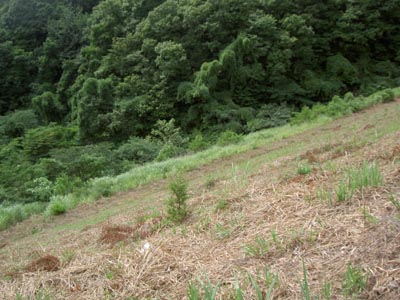 �V�[����_������������