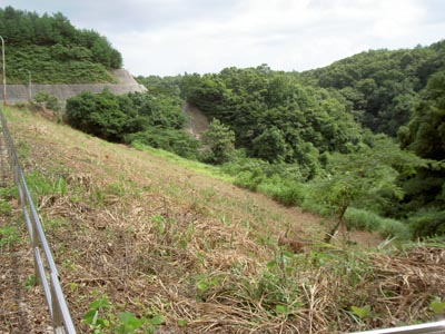 �E�݂����̉�����������