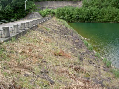 ���݂����̏e����������