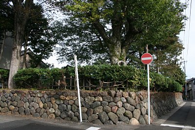 郭を囲む石垣が遺構として残っています