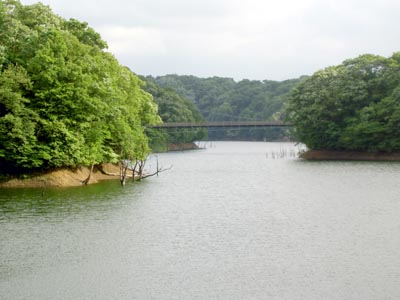 �Ó��r�Ƃǂ񂮂苴