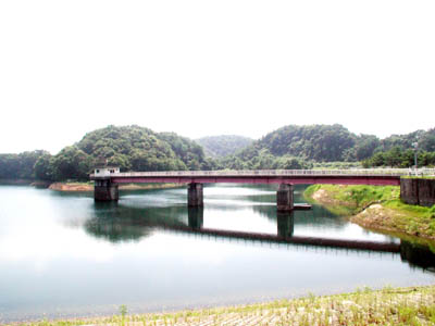 �V�[����搅��������