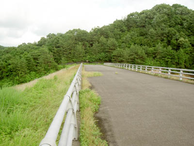 �V�[�͍s���~�܂�ł�