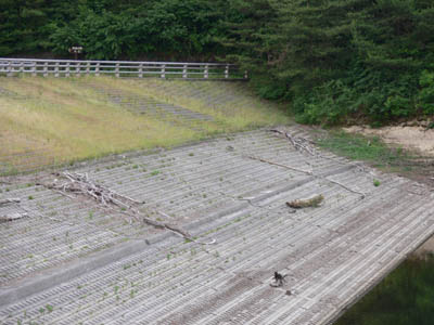 ��̏㗬���ɂ̓R���N���[�g�𒣂��Ă���