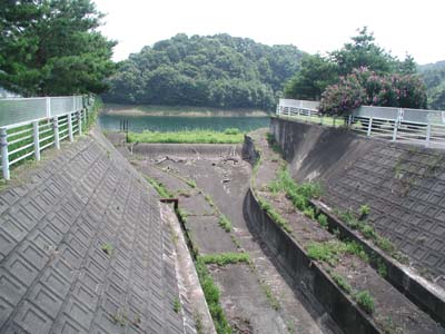 ���R�z�����^���f