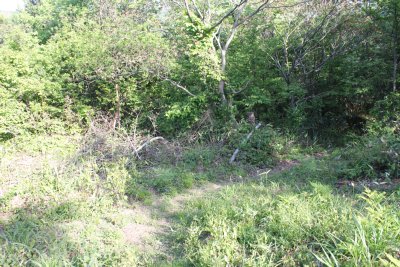 堀切は浅いものですが当時はもっと深かったのでしょう