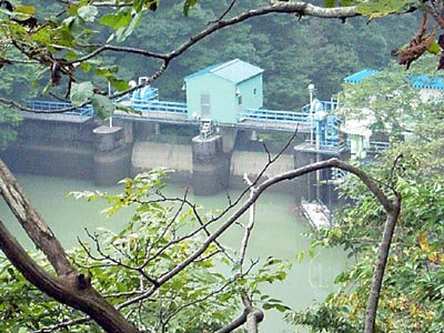 �����_�����㗬���猩��