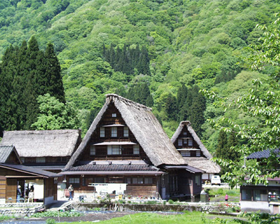 ���������W��